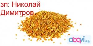 Продавам Цветен Прашец-25лв/кг-реколта 2013г!!! 100% пчелни продукти от производител - произведени в най-екологично чистия регион на България!!!За Контакти: Gsm:0898481155 Николай Димитров