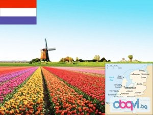 Частни уроци по Холандски език