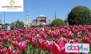 - Екскурзия в Истанбул - Фестивала на Лалетата 