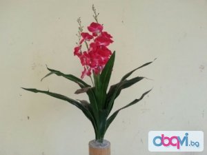 Орхидея 80см