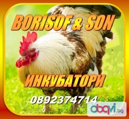 Инкубатори  от Borisof & son