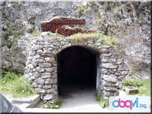 Дяволско гърло и Ягодинска пещера, от Пловдив