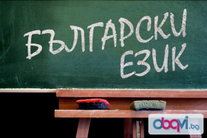 Частни уроци по български език и литература