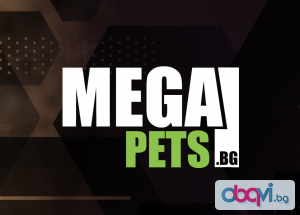 Най-новият уебсайт за храна и аксесоари за животни - Mega Pets