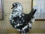  Продавам гълъби от породата Американски Кинг