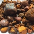 Cow Gallstones are use for the treatment of hepatitis and liver and heart-related diseases.